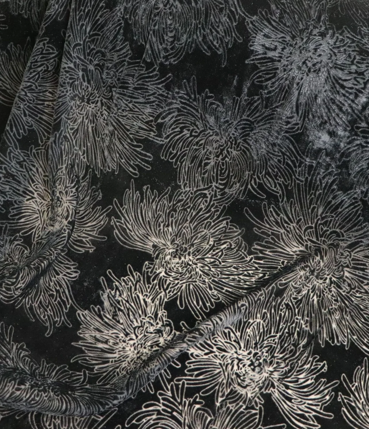 burnout velvet silver-grey chrysanthemum spray on black
