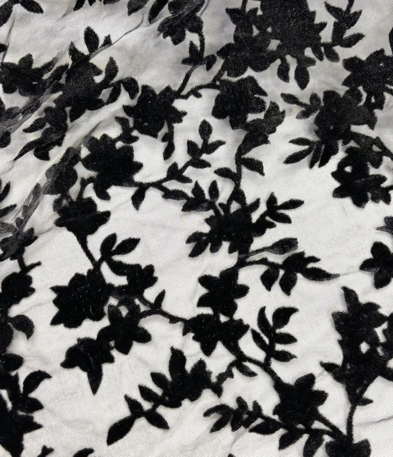 burnout velvet black floral branch on white